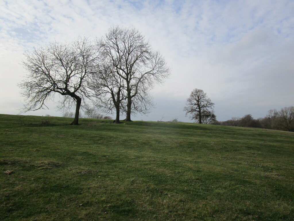 Grassland With Trees Near Baggrave Hall Jonathan Thacker Cc By Sa