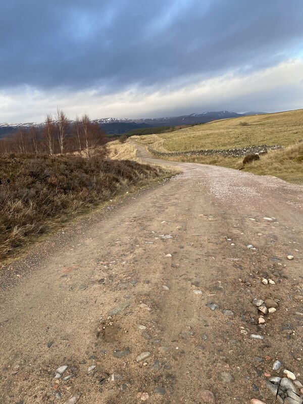 Estate Track Thejackrustles Cc By Sa Geograph Britain And Ireland