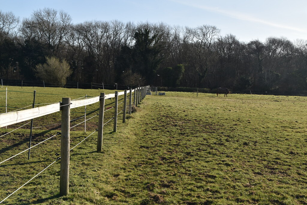 Equine Pasture N Chadwick Geograph Britain And Ireland