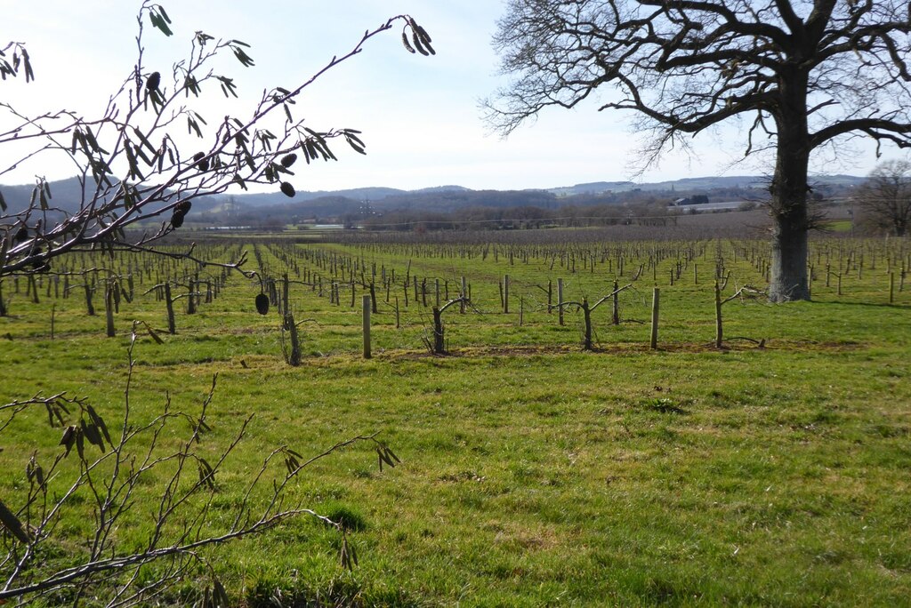 View Of The Wye Valley Just South Of Philip Halling Cc By Sa 2 0