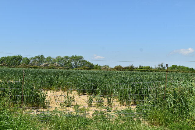 Wheat Field N Chadwick Cc By Sa 2 0 Geograph Britain And Ireland