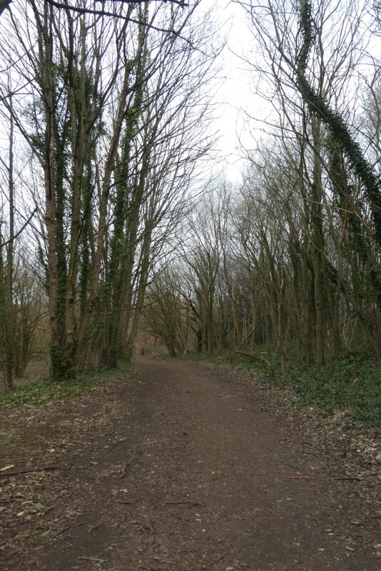 Path In Old Hall Wood Ds Pugh Cc By Sa Geograph Britain And