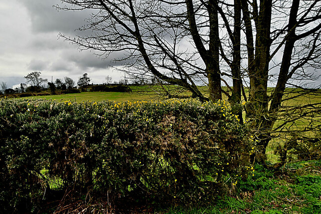 Corlea Townland Kenneth Allen Cc By Sa 2 0 Geograph Britain And