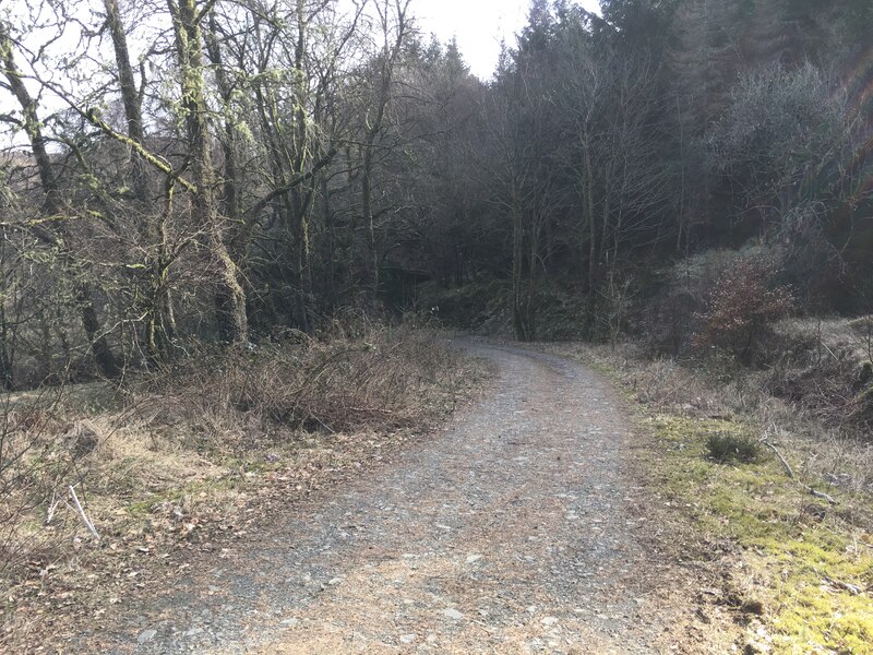 Forestry Road In Stank Glen Steven Brown Cc By Sa 2 0 Geograph