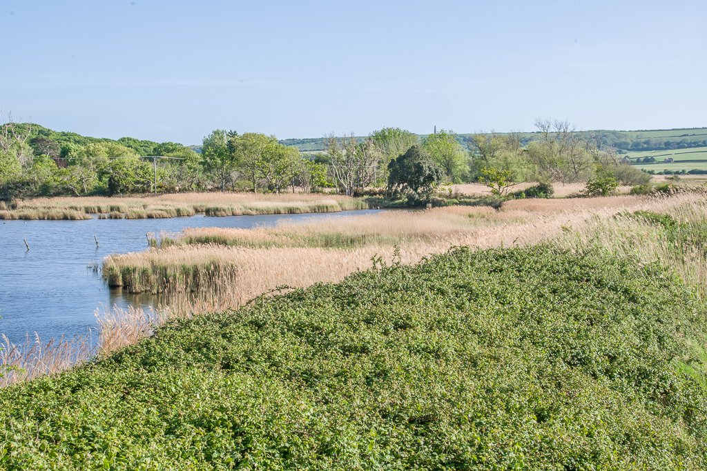 Brading Marshes Ian Capper Geograph Britain And Ireland