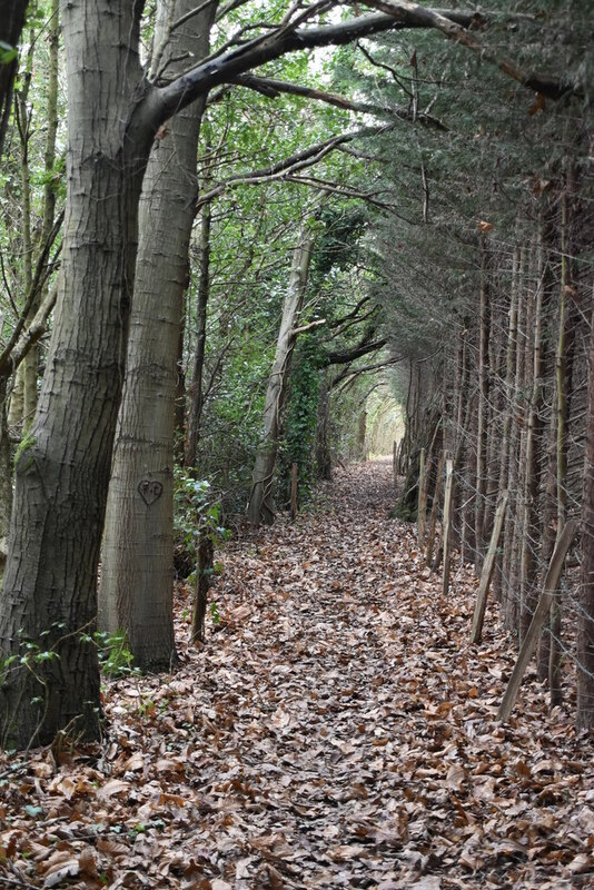 Bridleway N Chadwick Cc By Sa 2 0 Geograph Britain And Ireland