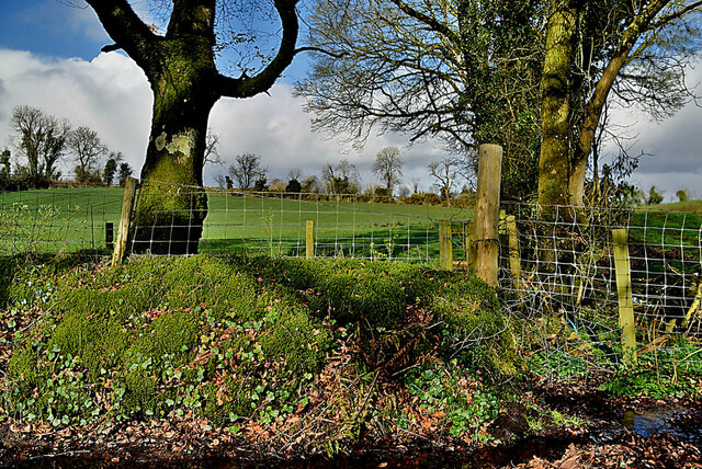 Tree And Countryside Cavanacaw Lower Kenneth Allen Cc By Sa