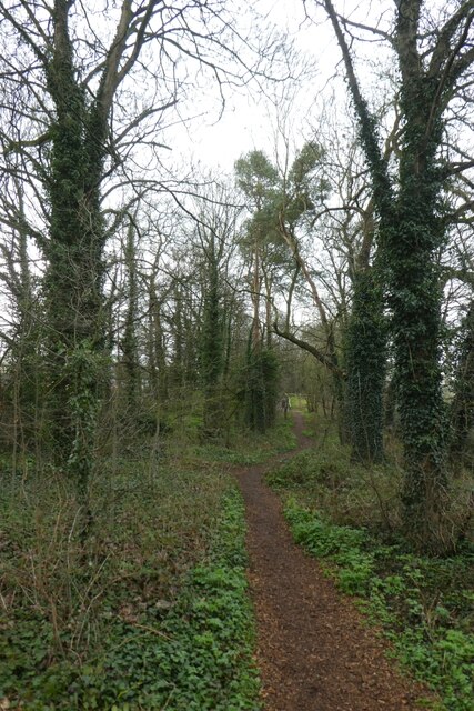 Path In Windmill Lane Woods Ds Pugh Geograph Britain And Ireland