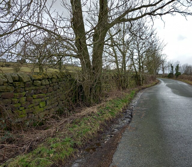 Thornthwaite Low Lane Mel Towler Cc By Sa 2 0 Geograph Britain