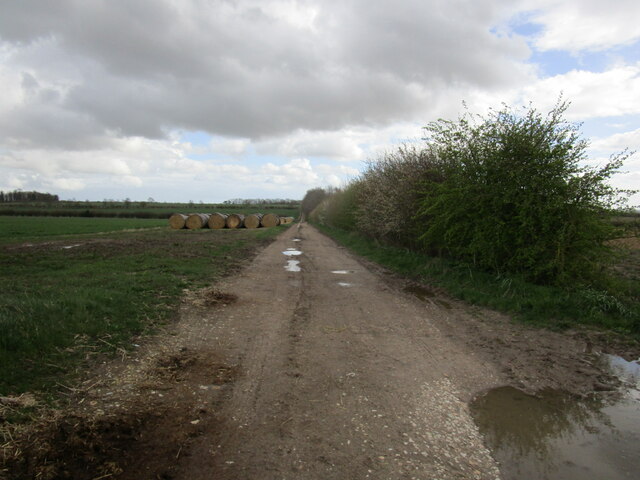 Farm Track Near Baumber Park Jonathan Thacker Geograph Britain And