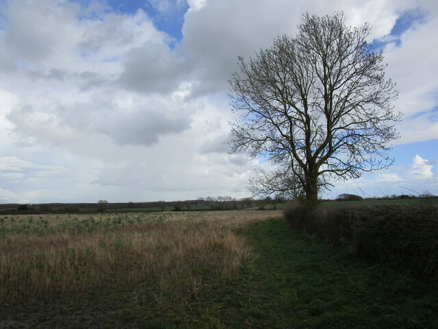 Uncultivated Field Near Minting Jonathan Thacker Geograph Britain