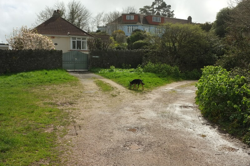 Houses On Stantaway Hill Derek Harper Cc By Sa Geograph