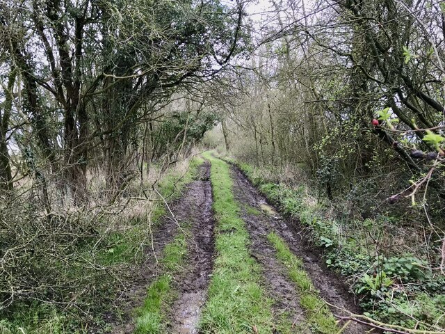 Green Lane Footpath David Dixon Geograph Britain And Ireland