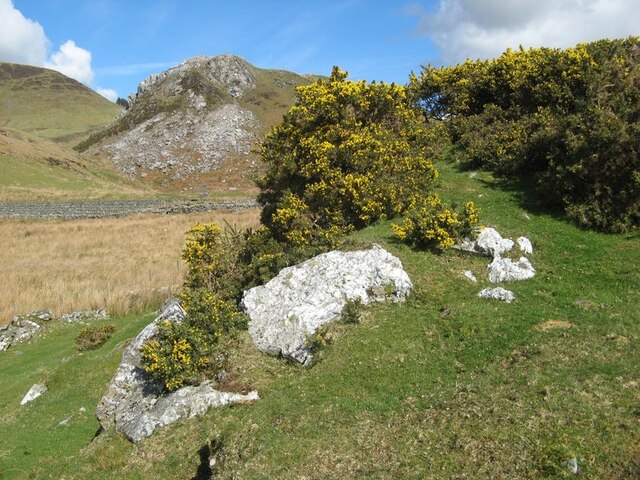 Gorse With Quartz Boulders Jonathan Wilkins Cc By Sa 2 0 Geograph