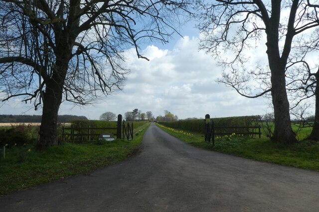 Track Towards High Grange Farm DS Pugh Geograph Britain And Ireland