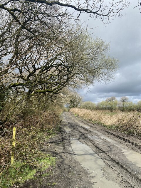 Muddy Track Alan Hughes Geograph Britain And Ireland