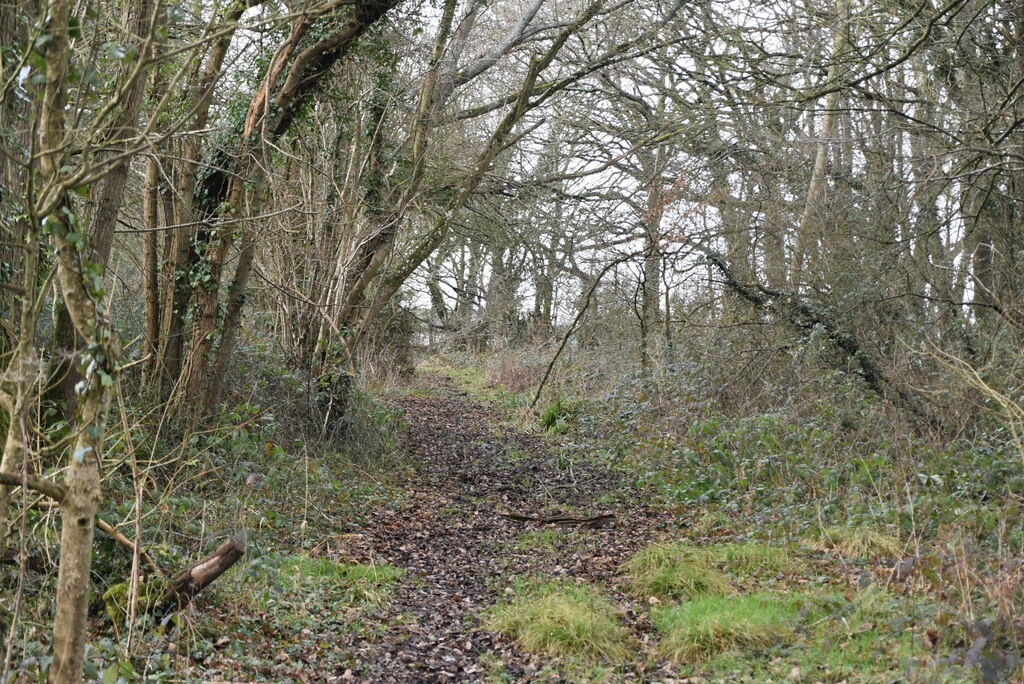 Bridleway N Chadwick Cc By Sa 2 0 Geograph Britain And Ireland