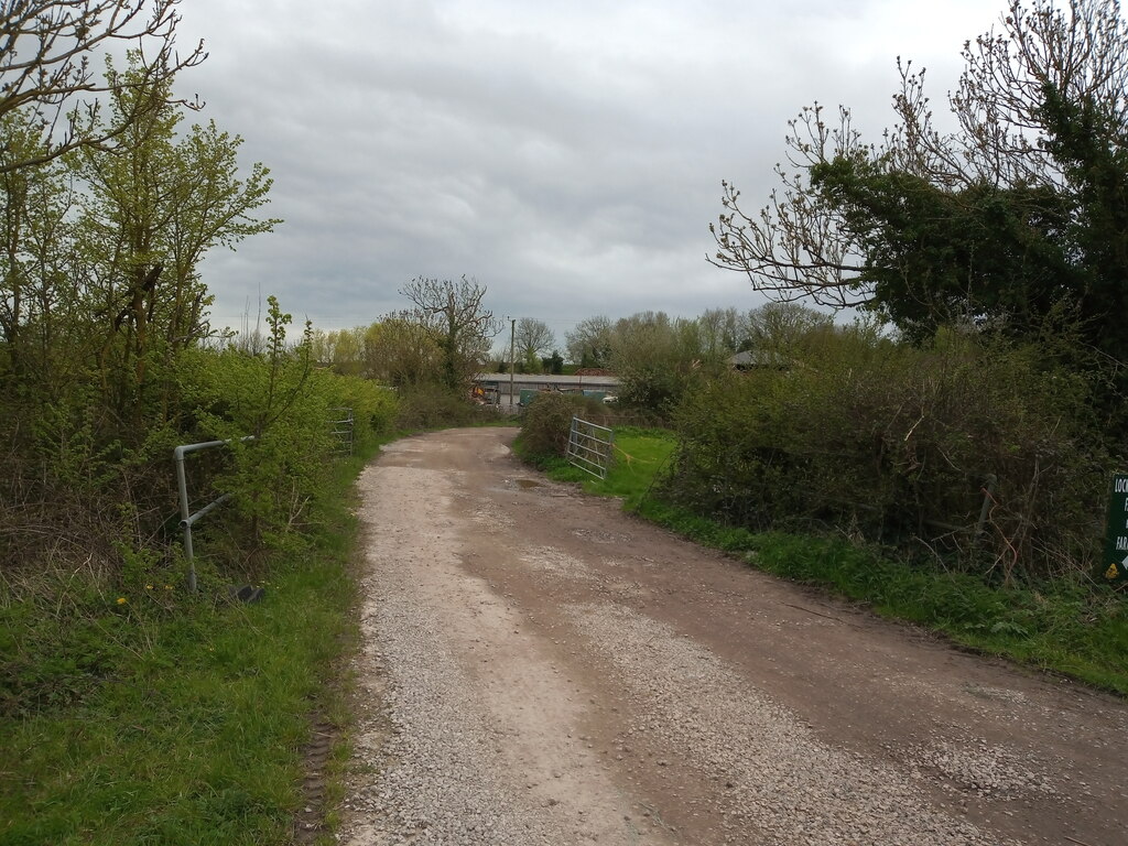 Locking Head Drove Looking South Sofia Feltham Geograph Britain