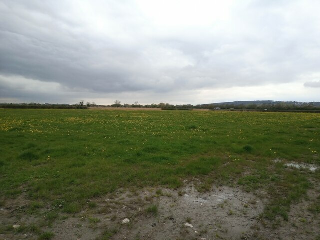 Field Near Locking Head Drove Sofia Geograph Britain And Ireland