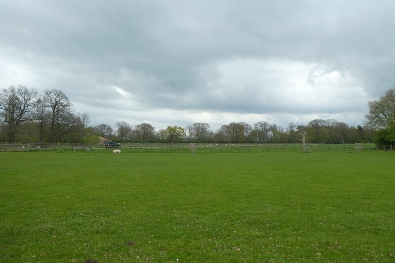 Field Near Home Farm Shop DS Pugh Cc By Sa 2 0 Geograph Britain