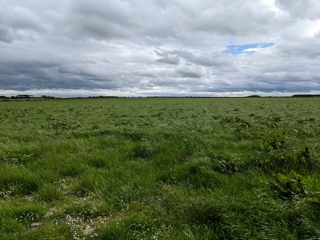 Grassland Near Greenland David Medcalf Geograph Britain And Ireland