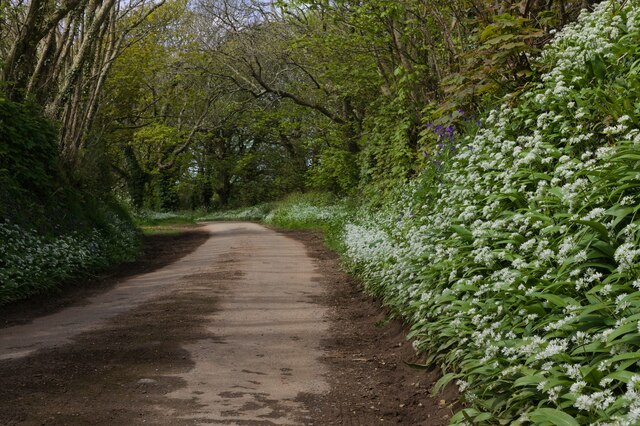 Public Bridleway To Lanyon 2 Elizabeth Scott Cc By Sa 2 0 Geograph