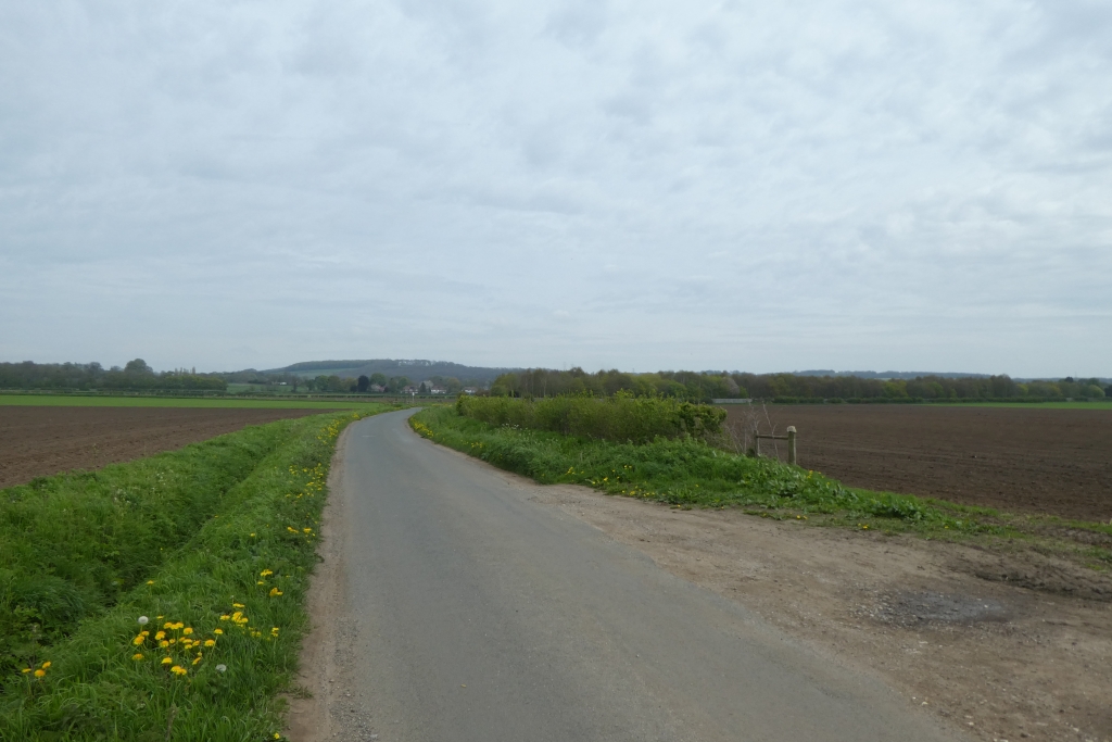 Along Norfolk Bank Lane DS Pugh Geograph Britain And Ireland