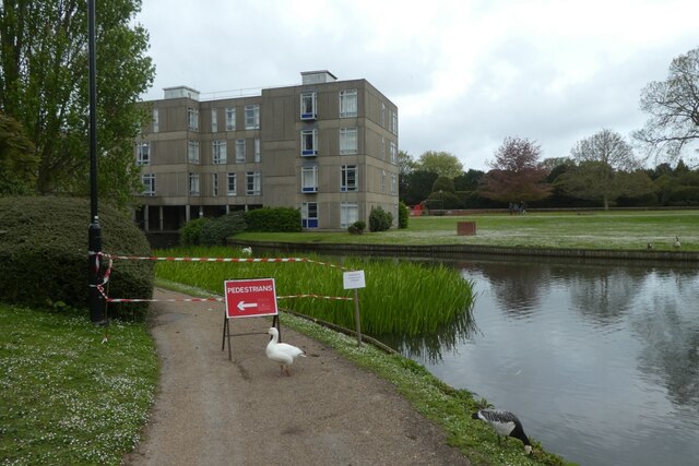 Footpath Closed For Nesting Swan DS Pugh Geograph Britain And Ireland