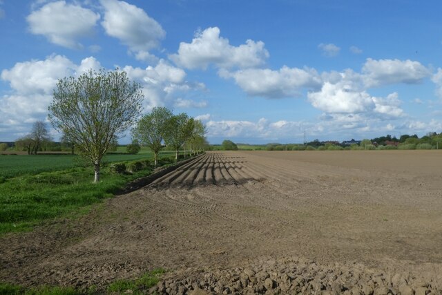 Ploughed Field Near New Farm Ds Pugh Cc By Sa Geograph Britain