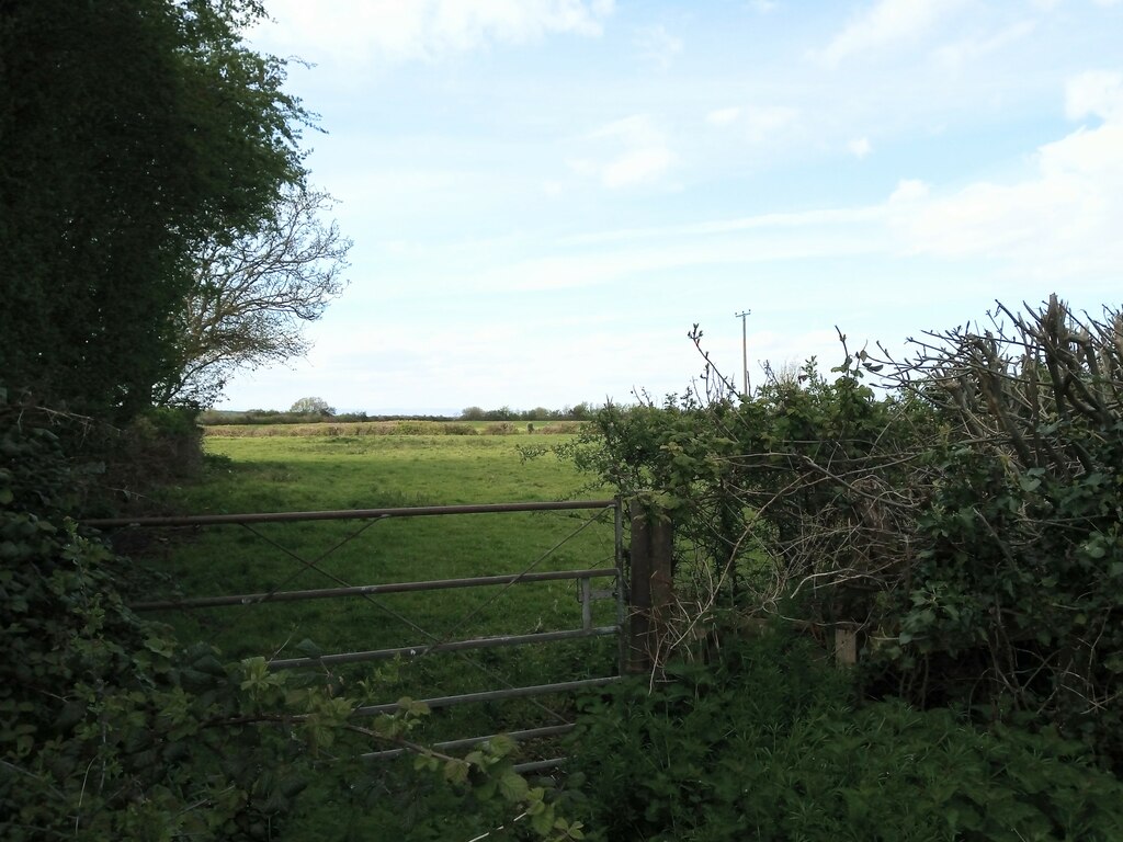 Field Off Ebdon Road Sofia Feltham Geograph Britain And Ireland