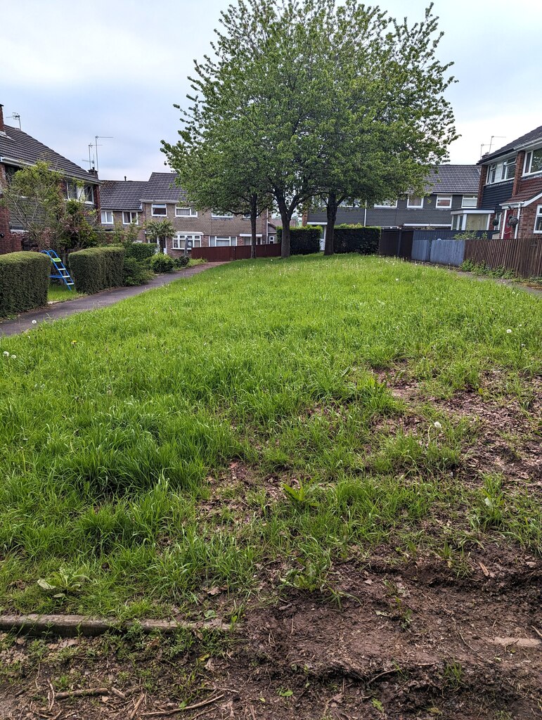 Unmown Grass Pilton Vale Newport Jaggery Cc By Sa Geograph