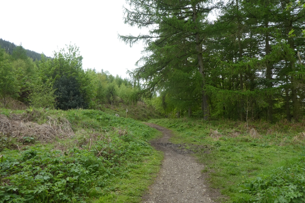 Bridleway In Clain Wood Ds Pugh Geograph Britain And Ireland