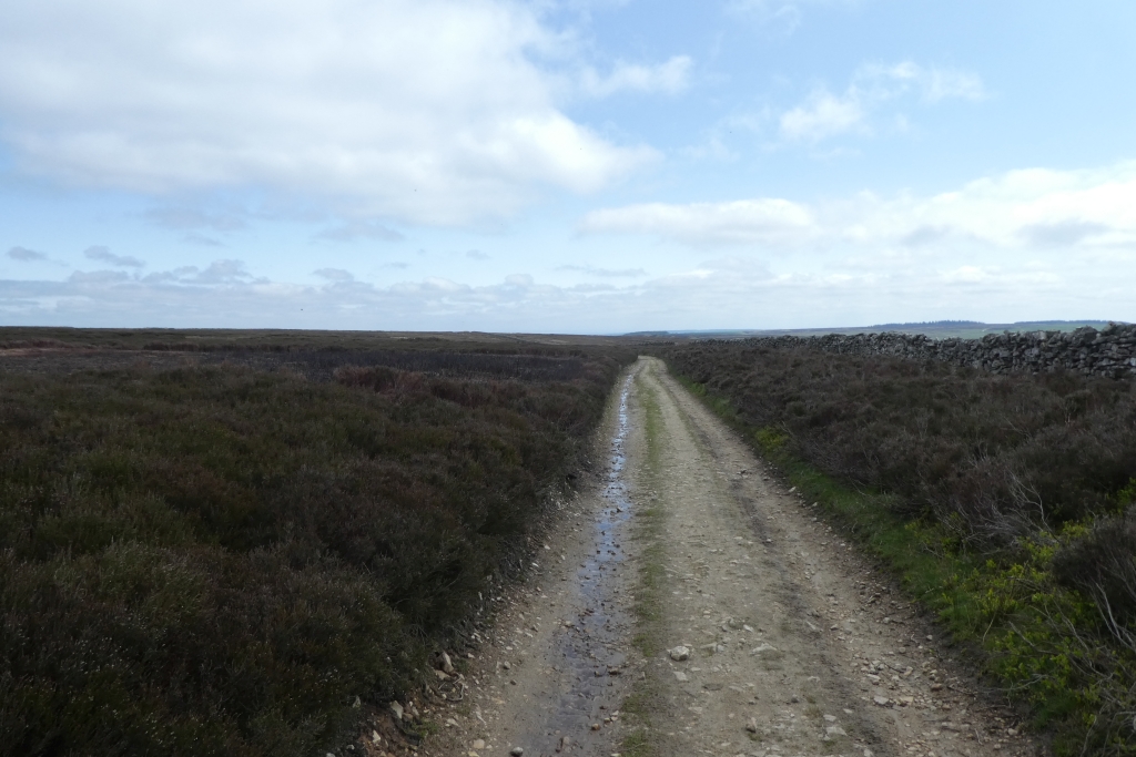 Hambleton Street Crossing Black DS Pugh Geograph Britain And