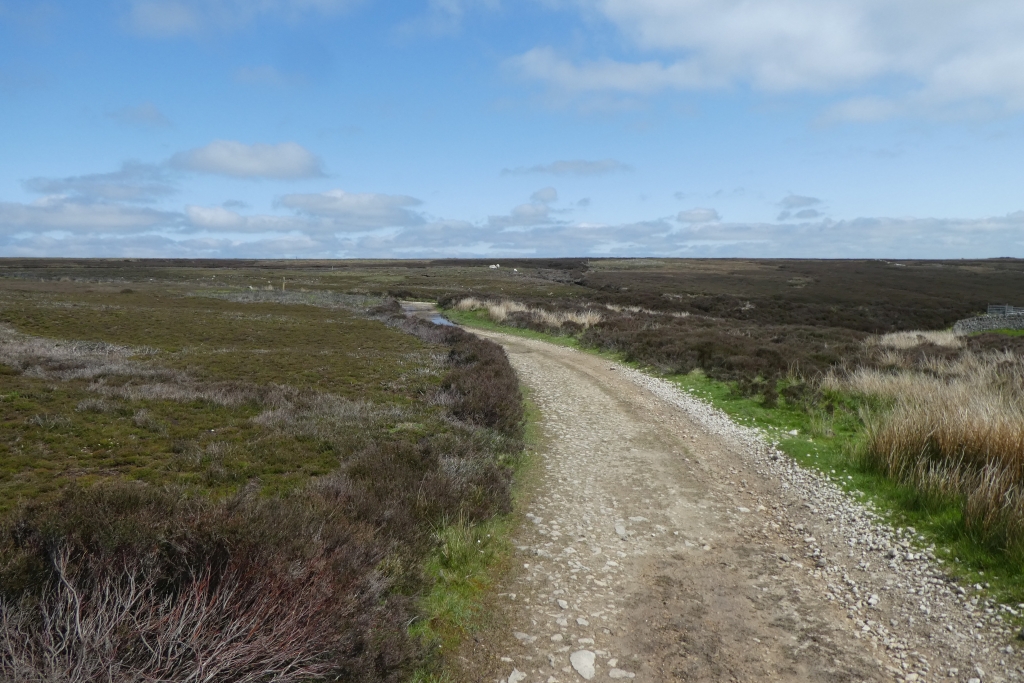 Track Near White Gill Head Ds Pugh Geograph Britain And Ireland