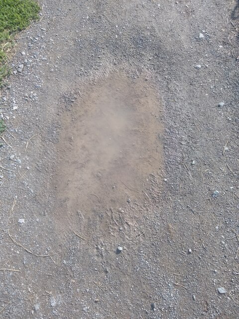 Puddle At Castle Batch Sofia Feltham Cc By Sa 2 0 Geograph Britain