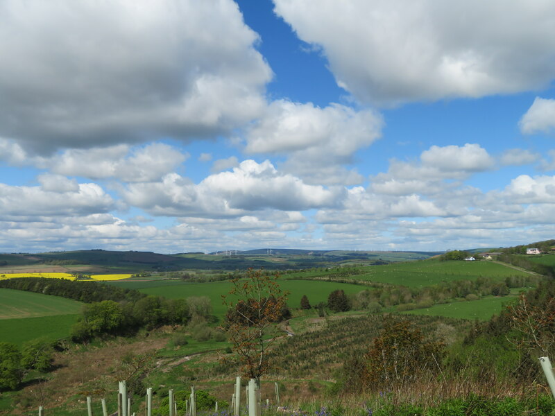 Landscape From Edgarhope Wood M J Richardson Cc By Sa 2 0 Geograph