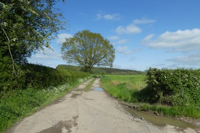 Track Towards Kilburn Thicket DS Pugh Cc By Sa 2 0 Geograph