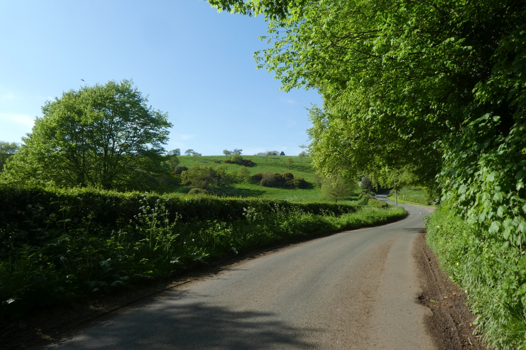 Oulston Road Near Quarry Plantation Ds Pugh Cc By Sa Geograph