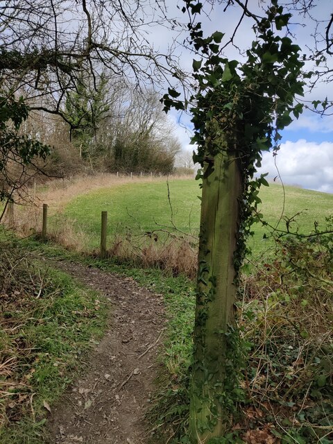 Path And Woodland At Wenlock Edge Mat Fascione Geograph Britain