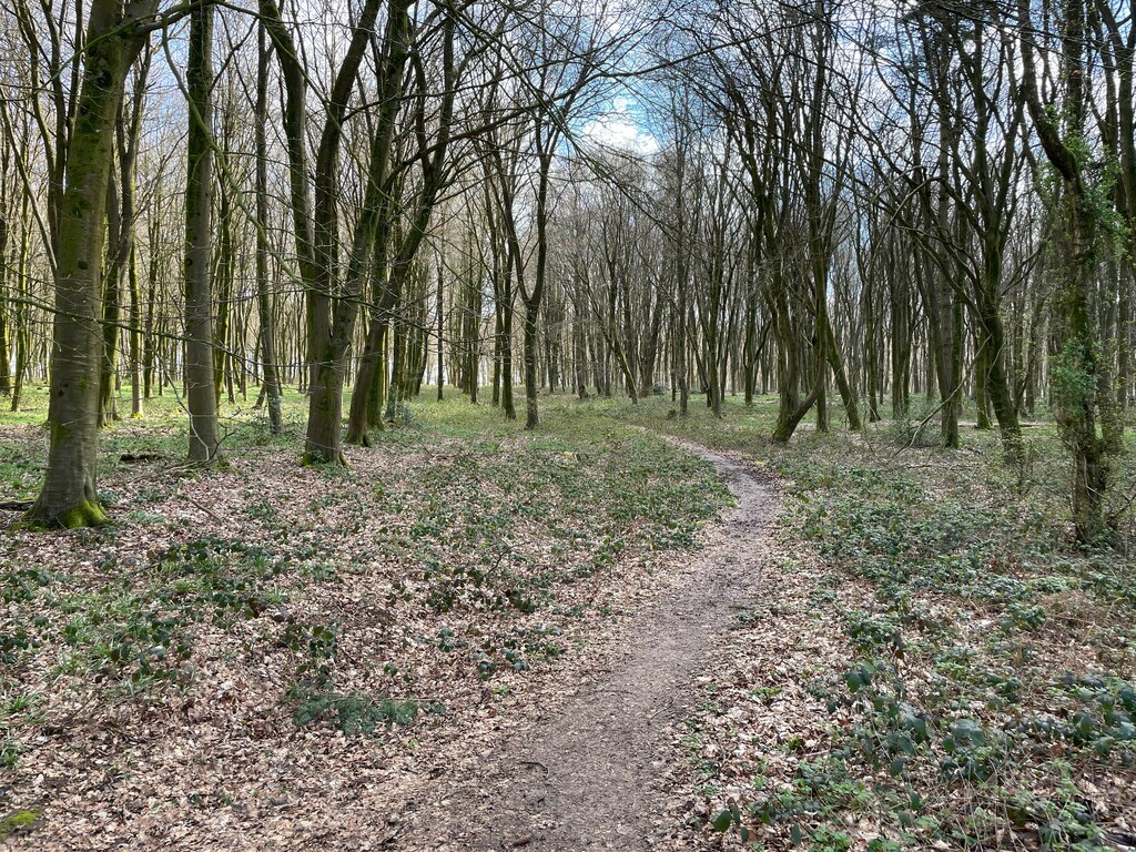 Path In Bull S Bushes Copse Mr Ignavy Cc By Sa 2 0 Geograph