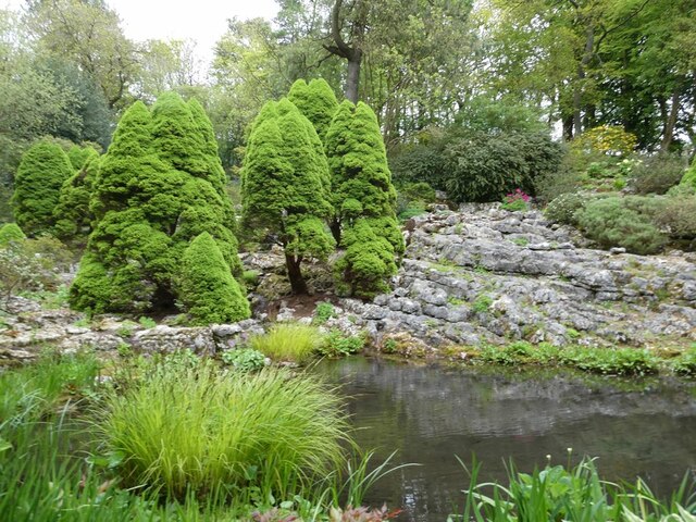 Pond In The Rock Garden Oliver Dixon Geograph Britain And Ireland