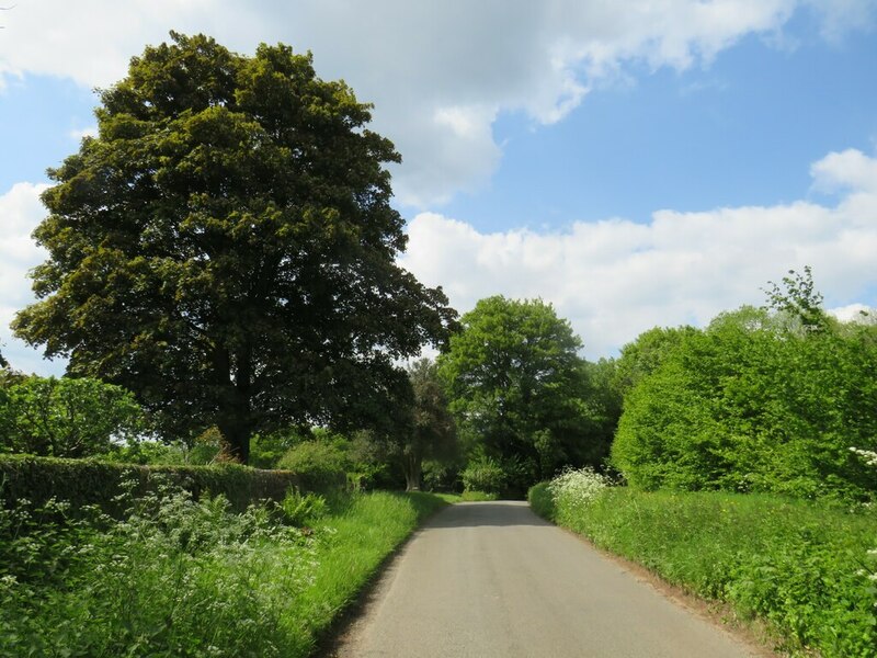 Tunbridge Lane Near Liphook Malc Mcdonald Cc By Sa Geograph