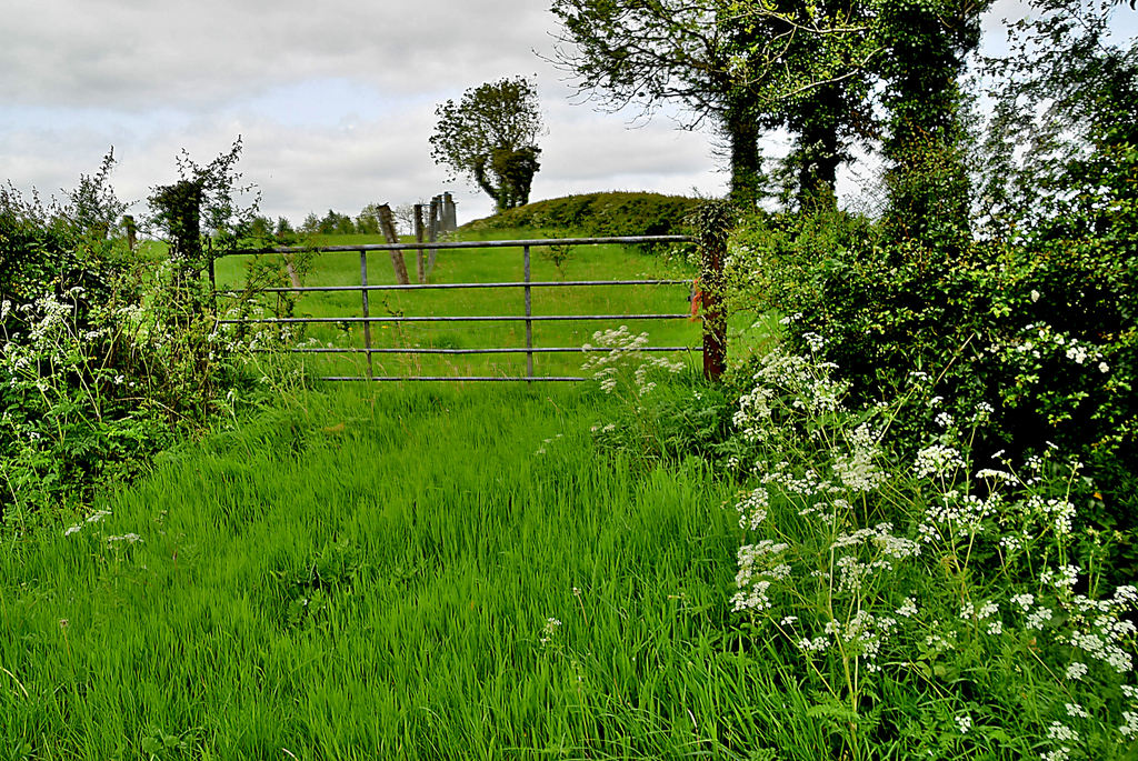 Cavan Townland Kenneth Allen Geograph Britain And Ireland