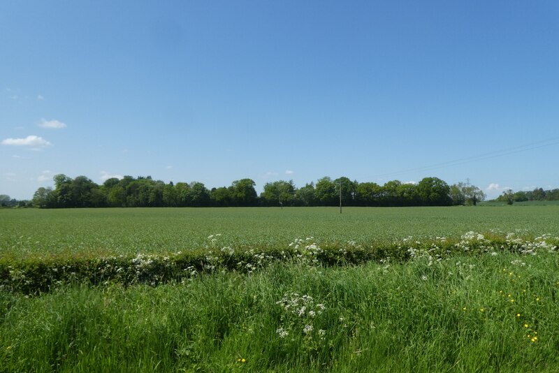 Fields Near Lilling Hall Farm Ds Pugh Cc By Sa Geograph