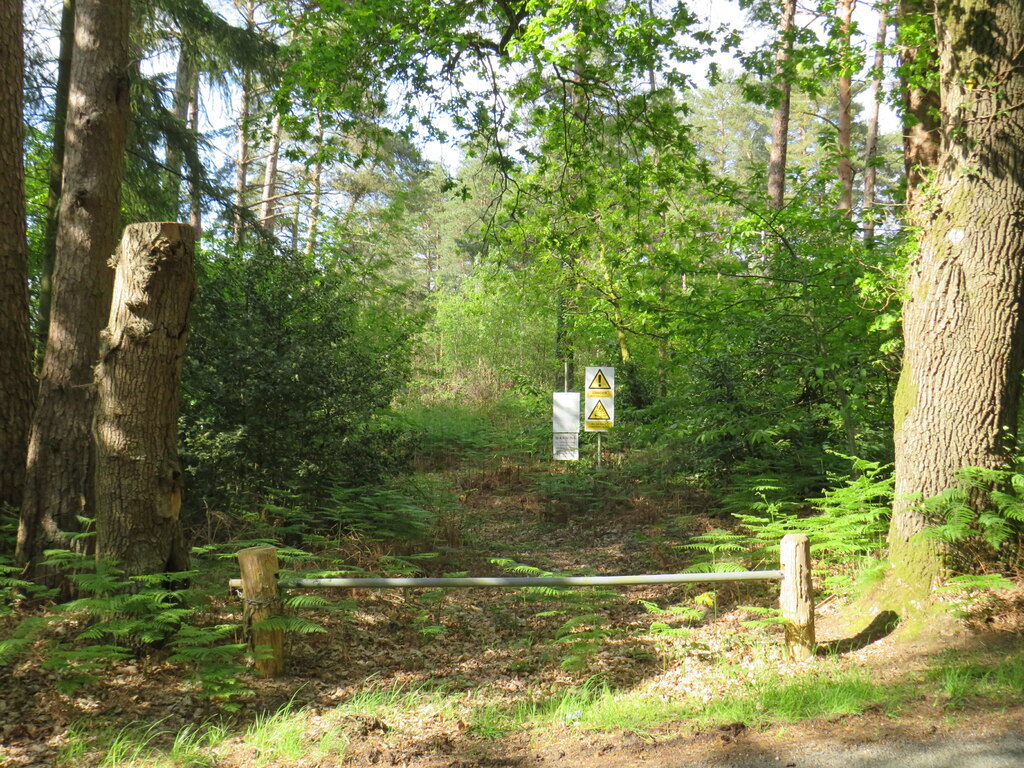 Path Into Woodland Near Rushmoor Malc Mcdonald Cc By Sa