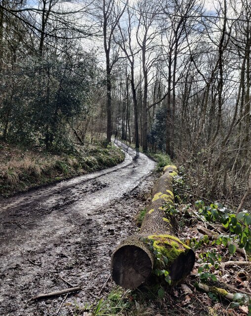 The Jack Mytton Way In Blakeway Coppice Mat Fascione Cc By Sa