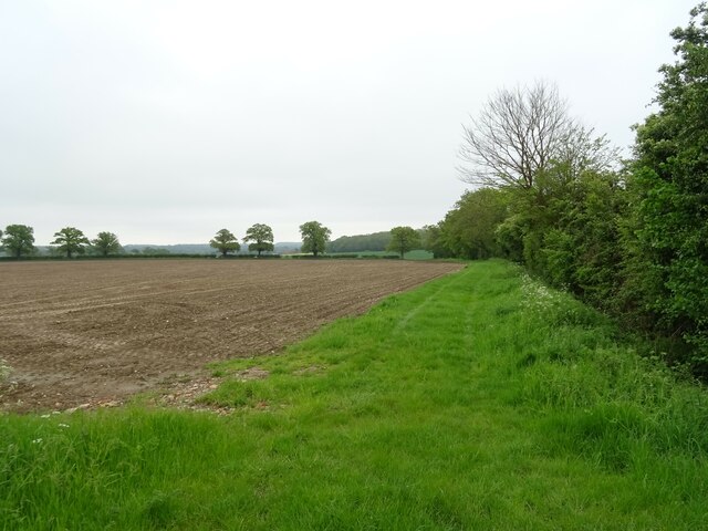 Field Margin Hoo Green JThomas Geograph Britain And Ireland