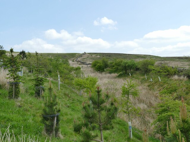 The Upper Reaches Of Lock Gill Stephen Craven Cc By Sa