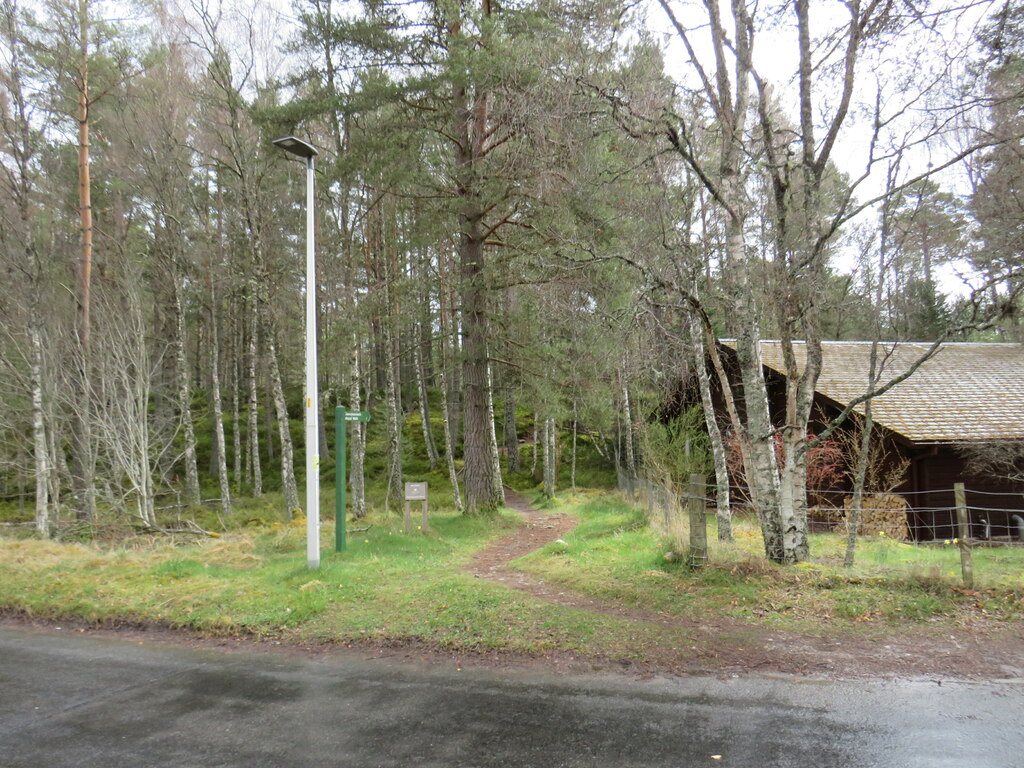 Path Into Woodland Carrbridge Near Malc Mcdonald Cc By Sa