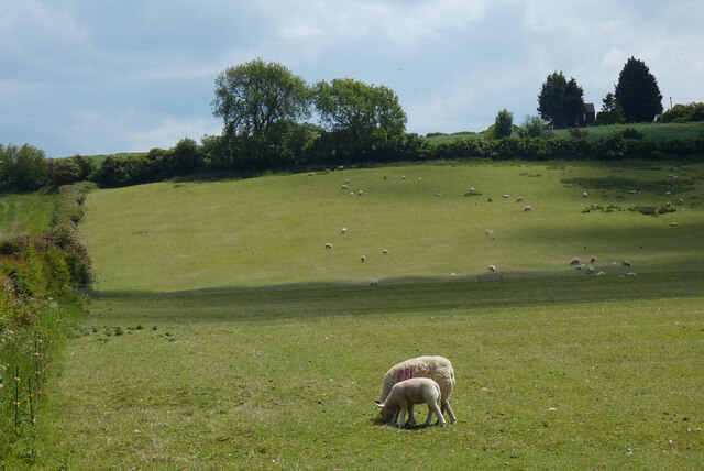 Pasture Nether Winchendon Andrew Smith Cc By Sa Geograph